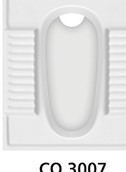 CO 3007